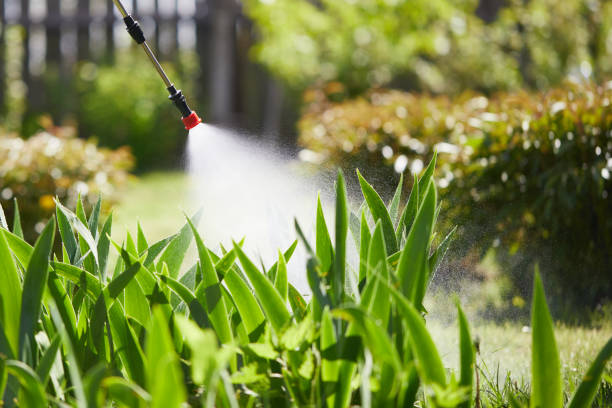 24/7 Emergency Fumigation Services experts in Tri-City, OR