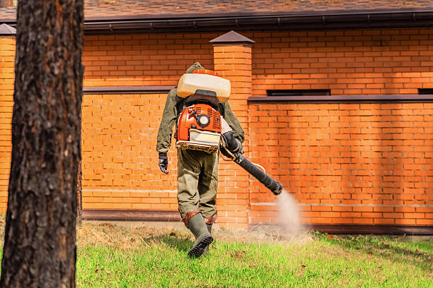 Trusted Cockroach Control service in Tri-City, OR - Nex Pest Control